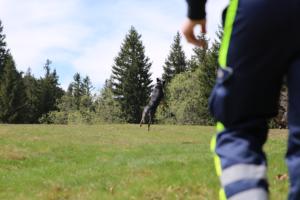 2018 Ausbildungswoche Arber